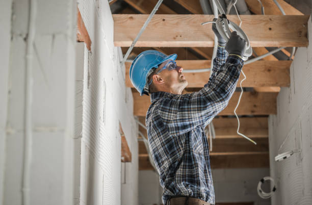 Best Local Electrician Companies  in Palm Valley, TX